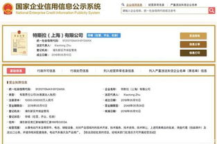 特斯拉落戶上海浦東 國(guó)產(chǎn)化進(jìn)程加速與技術(shù)轉(zhuǎn)移新篇章