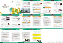 飼料產品技術手冊 技術轉讓與咨詢全解析